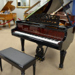 2014 FANCY William Knabe grand piano - Grand Pianos